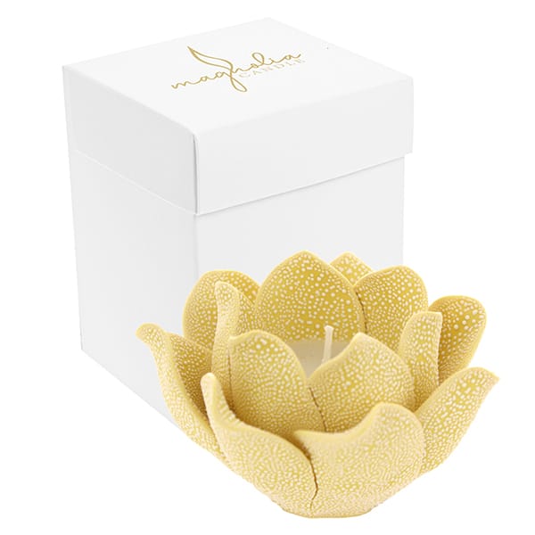 Candela Magnolia Porcellana Gocce di Rugiada 10x6,5 c/astuccio gialla